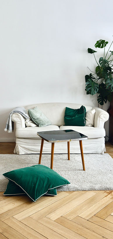 The Home inspirations canapés